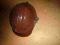 ART7> KASK BUDOWLANY