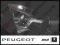 Peugeot 308 Zestaw Oświetlenia Led W5W T10 CanBus