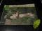Kobieta i Życie Nr 16/ 1972 r