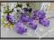 L248 STORCZYK gałązka ŚLICZNE kwiaty 9.violet
