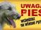 WILCZARZ UWAGA PIES TABLICZKA NA DRZWI
