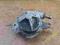 BMW E34 525tds 2,5tds M51 POMPA WACUM WAKUM