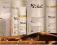 DERMIKA SALON ampułki extra-lift 35+z fitoestrogen