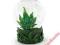 Szklana Kula Cannabis Mushrooms Snow Brokat