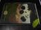 Przekrój nr 1951/ 1982 r.