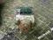 POMPA ABS MAZDA 6 2004 VISTEON 2059047