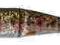 SAVAGE LURES SOFT PLAY 13 CM Rainbow Smolt 1 szt.