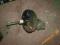 Serwo + Pompa Hamulcowa VW Golf III 91-99  1,9D