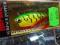 RAPALA wobler SKITTER POP POPPER POWIERZCHNIOWY !@