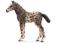 SCHLEICH - KUC KNABSTRUPPER - 13760