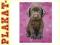 plakat-KEITH KIMBERLIN CHOCOLATE LABS HEADPHONES [