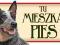 AUSTRALIAN CATTLE DOG TABLICZKA NA DRZWI