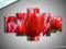 OBRAZ 125x70 TULIPANY KWIATY DECO OBRAZY ARS-ART