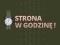 Strona WWW w godzinę - projekt + domena + hosting