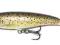 Rapala Long Casting LCM10 TR 10cm,11g