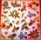 Serwetki do decoupage NR173 - 2szt.