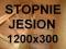 Stopnie schody 1200x300x40 trepy jesion jesionowe