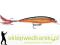 Wobler Rapala X-RAP 8cm-NAT/7g, Kolor: RUCW