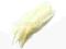 Pióra gęsie lotki 10szt ECRU
