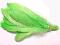 Pióra gęsie lotki/2/ 25szt kolor JASNY ZIELONY