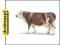 SCHLEICH KROWA RASY SIMMENTAL NEW 2009 13641 (ZABA