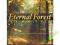 Eternal Forest - Las, Deszcz, Wodospad, Relaksacja