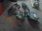 Seat Leon Toledo II Halogen PRAWY Przedni KRK