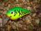 WOBLER RAPALA DIVES-TO FAT 3 - 6cm/14g - OKAZJA !