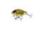 Wobler SALMO - TINY Hot Cocker 3cm/2.5g -pstrąg-