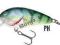 Wobler Salmo BUTCHER - Perch 5cm/6g -okoń, bass-