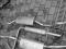 Tłumik Końcowy VW Polo Seat Cordoba 1.4-1.8 95-