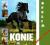 Konie Karolina Wengerek IMAGINE SUPER ALBUM!!!