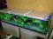 OGROMNE AKWARIUM ZESTAW 220 X 50 X 50 LICYTACJA