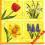 Serwetki do decoupage NR40 - 2szt. KWIATKI
