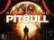 PITBULL: GLOBAL WARMING (DELUXE VERSION) (CD)