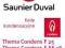 SAUNIER DUVAL THEMA CONDENS F25 NOWY !!! OD RĘKI