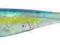 Berkley Powerbait Drop Shot Minnow 7,5cm Ocean