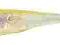 Berkley Powerbait Drop Shot Minnow 7,5cm Chartreus