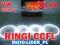 RINGI CCFL MAX LED MaxLed VW GOLF 5 V RING JAKOŚĆ