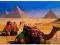 TIME4ART Obraz płótno 120x80 wielbłądy i piramidy