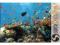 TIME4ART Obraz Ocean Ryby płótnie akwarium 120x80