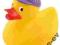 CANPOL 2/990 Zabawka pisząca kaczuszka