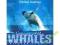 Voyage Of The Whales - Wieloryby