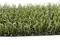 NOWOŚĆ ! WYCIERACZKA ASTROTURF 91 cm classic green