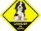 CAVALIER king charles spaniel MAGNES naklejka CA01