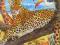 LEOPARD PUZZLE