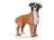 SCHLEICH 16390 Bokser suka new 2013