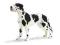 SCHLEICH 716384 DOG NIEMIECKI SUCZKA