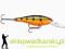 Wobler Rapala Shad Rap 7cm-F/8g, Kolor: P30