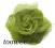 Toowee 3716 Broszka - Spinka 2w1 'Róża' - zieleń
